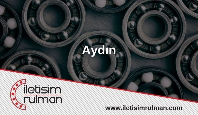 Aydın Rulman