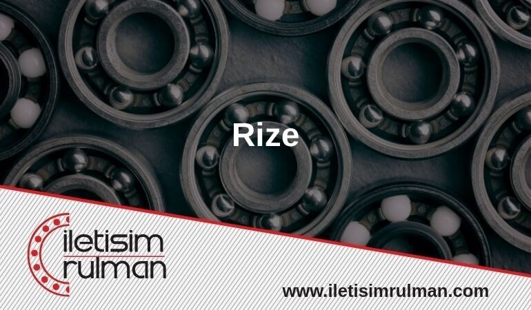 Rize Rulman
